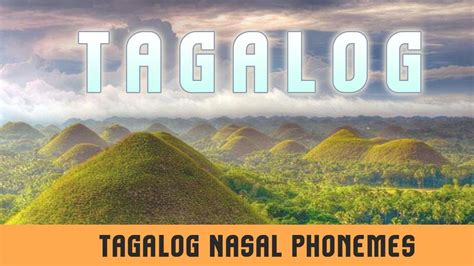 nasalag kahulugan|Translate nasalag in Tagalog with contextual examples .